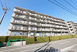 ペットと住める　ライブタウン湘南野比7号棟203 203