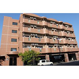 グリーンフィールドII 405