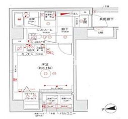 レアシス秋葉原 301