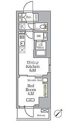 プライムガーデン大森 701