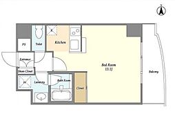 シャルマンクラシック 502