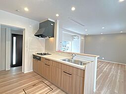 五泉市二ツ柳　戸建て