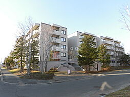 サーム千歳ドミニオＷｉｎｇ3