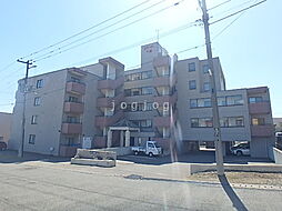 リレント千歳 501