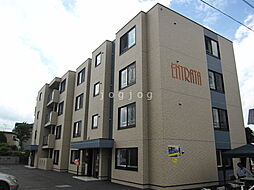 Ｅｎｔｒａｔａ 203