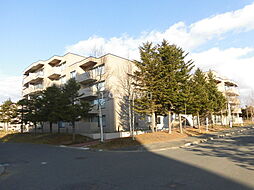 サーム千歳ドミニオＷｉｎｇ2 415