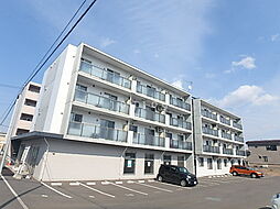 アルファレジデンス末広 307