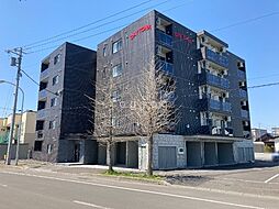 デイトナ 505