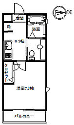 パウロニア99 201