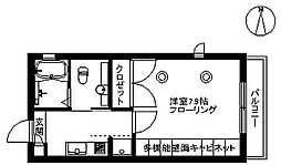パウロニア99 301