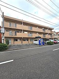 アムールチュラ 302