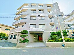 エヴァーグリーン立石