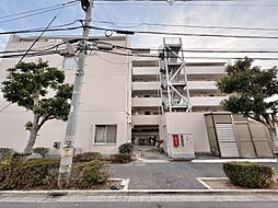 アイビハイツ柴又