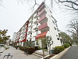 光が丘パークタウンゆりの木通り南