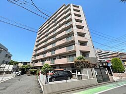 ルピナス蕨