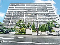 宇喜田カメリア