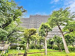 サンライトパストラル壱番街Ａ棟
