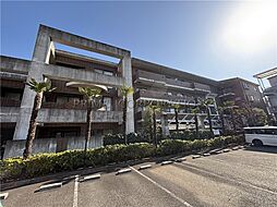 アルカディア・1