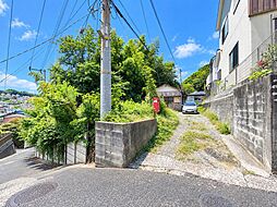 池上161坪