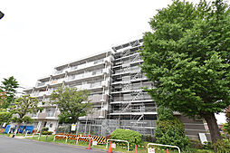 URいちょう並木国立