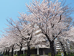 URサンヴァリエ桜堤