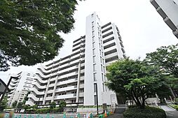 UR新川・島屋敷通り