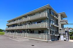 エヴァーグリーン 301