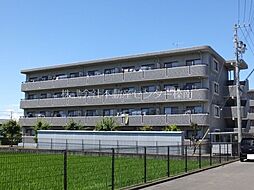 オークII 302