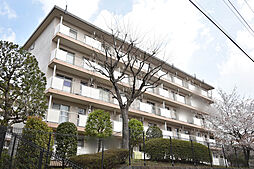UR鳶尾
