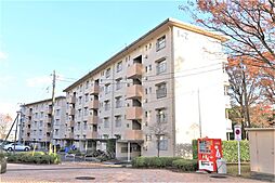 UR鳶尾