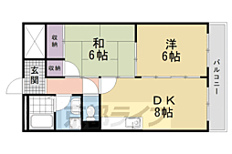 ネクスプロス大手筋 202