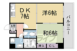 セノータ