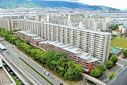 エバーグリーンポートアイランド1号棟