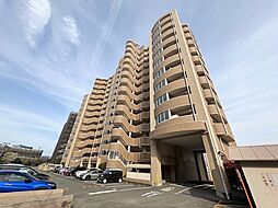 アネシス空港東 五番館　リフォーム済み 1001号