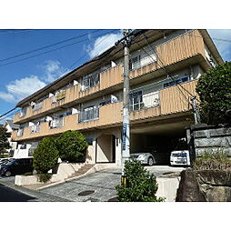 滝谷ユタカハイツ 101