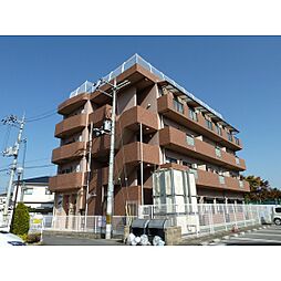 トリニティーグレース 303