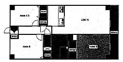 ロイヤルヴィーゼ南新在家 402
