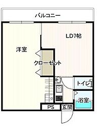 セントポーリア 105