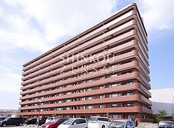 クルーザーバレー新川橋