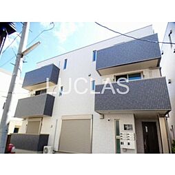 サンセベリア 202