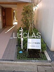 セレシア西巣鴨 402