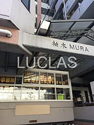 柏木MURA 315
