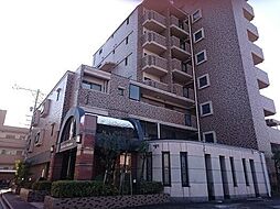 レインボー新川