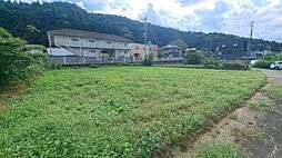 玉川380万土地