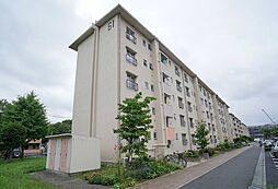 UR花畑