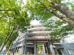 URアーバンライフゆりの木通り東