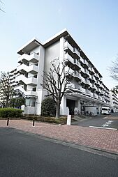 UR光が丘パークタウンゆりの木通り北
