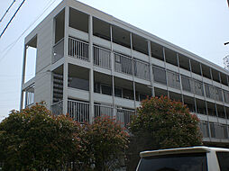 レオパレスクオーレ