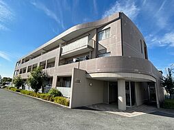 エバーグリーン