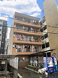 シロハイヌ新大阪